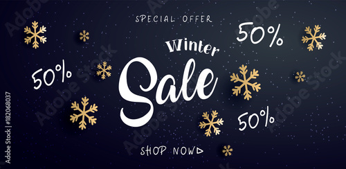 2024 Winter sale  banner with text and snowflake, vector illustration.  Can be used as Christmas greeting card, poster or Tik Tok banner. Vector golden glittering stars, snowflakes and lettering