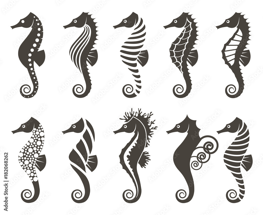 Fototapeta premium collection of seahorse on isolated white background