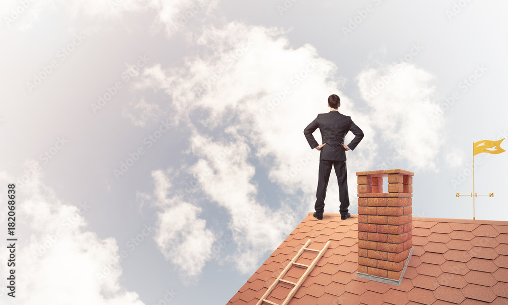 Mister boss on brick roof with arms akimbo. Mixed media Mister boss on brick roof with arms akimbo. Mixed media