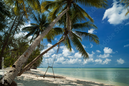 Fototapeta Naklejka Na Ścianę i Meble -  Tropical beach landscape. Clean turquoise sea with palm trees and white sands. Swing in coconut tree
