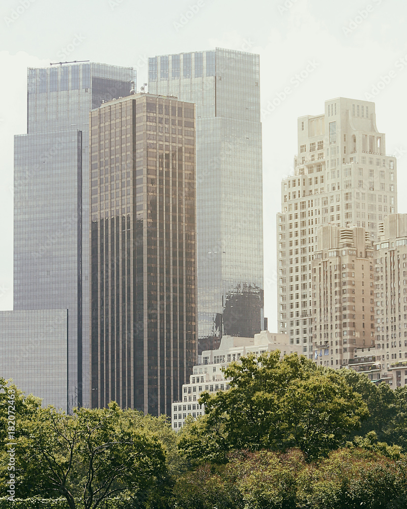Obraz premium Buildings in New York seen from Central Park