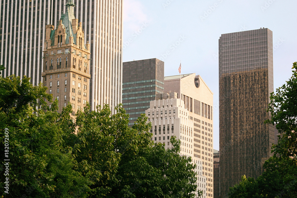 New York buildings seen from Central Park