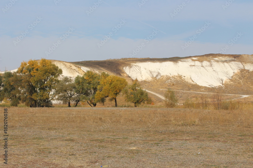 Obraz premium nature