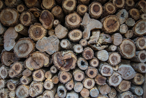 Various types of logs are stacked. Be prepared to be processed.