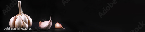 header panorama garlic head