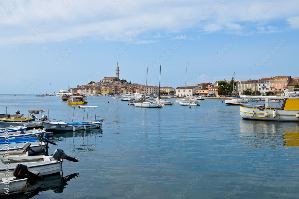 View of Rovinj and Boats from Sea