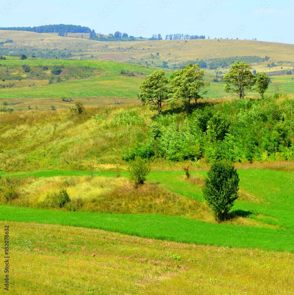 Typical rural landscape in the plains of Transylvania, Romania. Green landscape in the midsummer, in a sunny day Typical rural landscape in the plains of Transylvania, Romania. Green landscape in the midsummer, in a sunny day