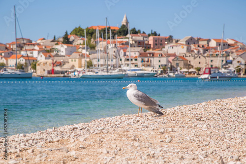 Sehenswürdigkeiten und traumhafte Ansichten auf die paradiesische Bucht von Primosten, Kroatien