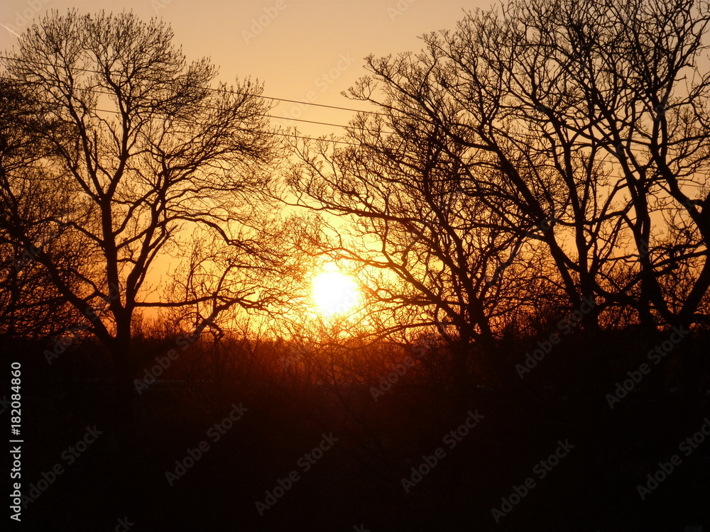 Naklejka premium Sunset Glare