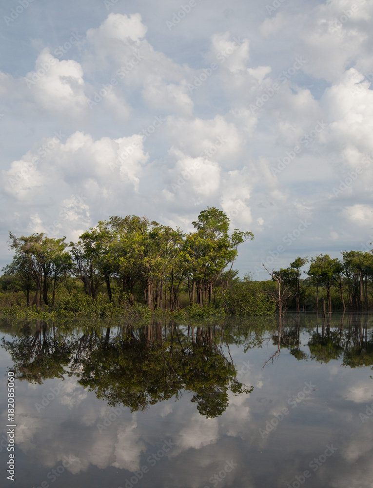 Obraz premium Rainforest and clouds reflected in Rio Negro, Amazon