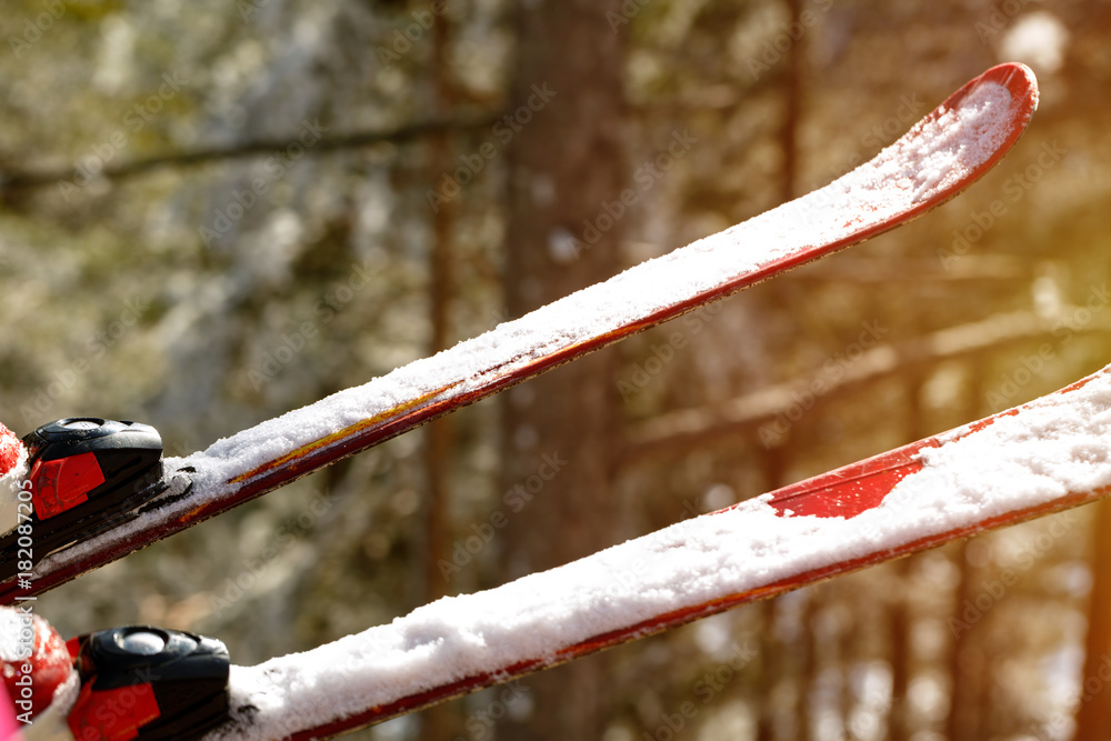 Naklejka premium Close up of ski shoes on skier.