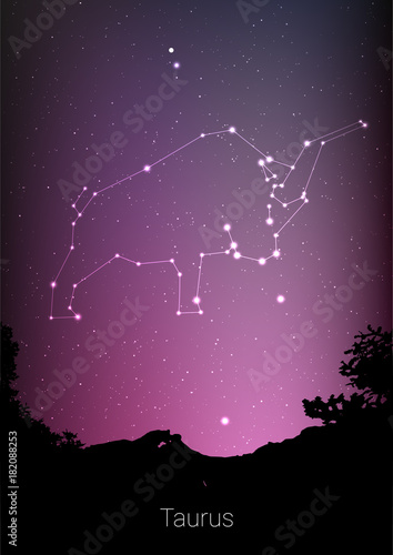 Gemini zodiac constellations sign with forest landscape silhouette on beautiful starry sky with galaxy and space behind. Gemini horoscope symbol constellation on deep cosmos background. Card design