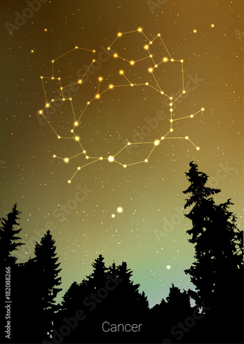 Canser zodiac constellations sign with forest landscape silhouette on beautiful starry sky with galaxy and space behind. Canser horoscope symbol constellation on deep cosmos background. Card design