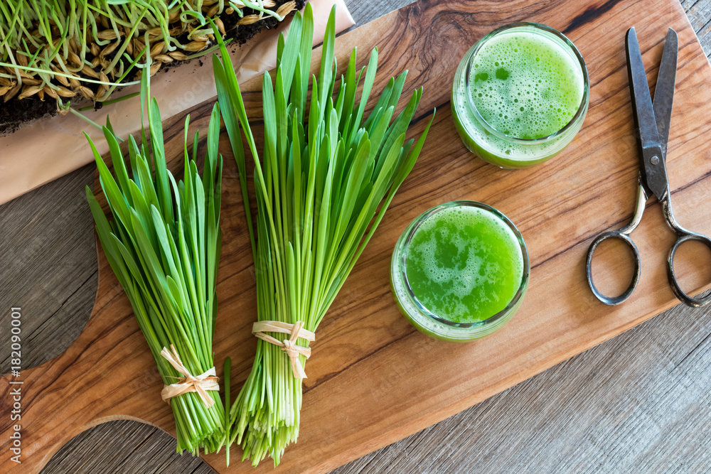 Two glasses of barley grass juice with freshly harvested barley grass Stock  Photo | Adobe Stock
