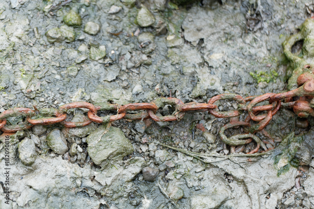 Rusty chain Rusty chain