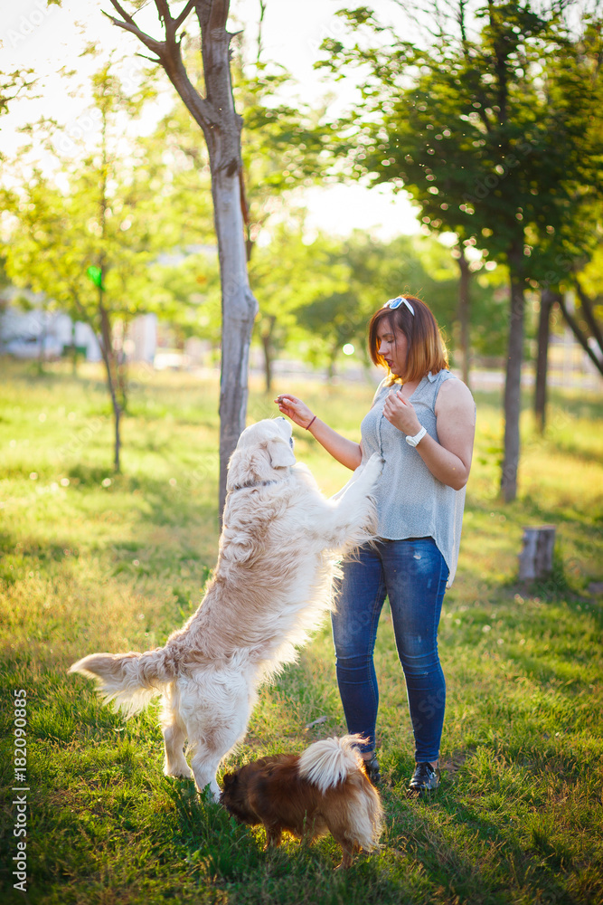 Many dogs walk in the park. Many dogs walk in the park.
