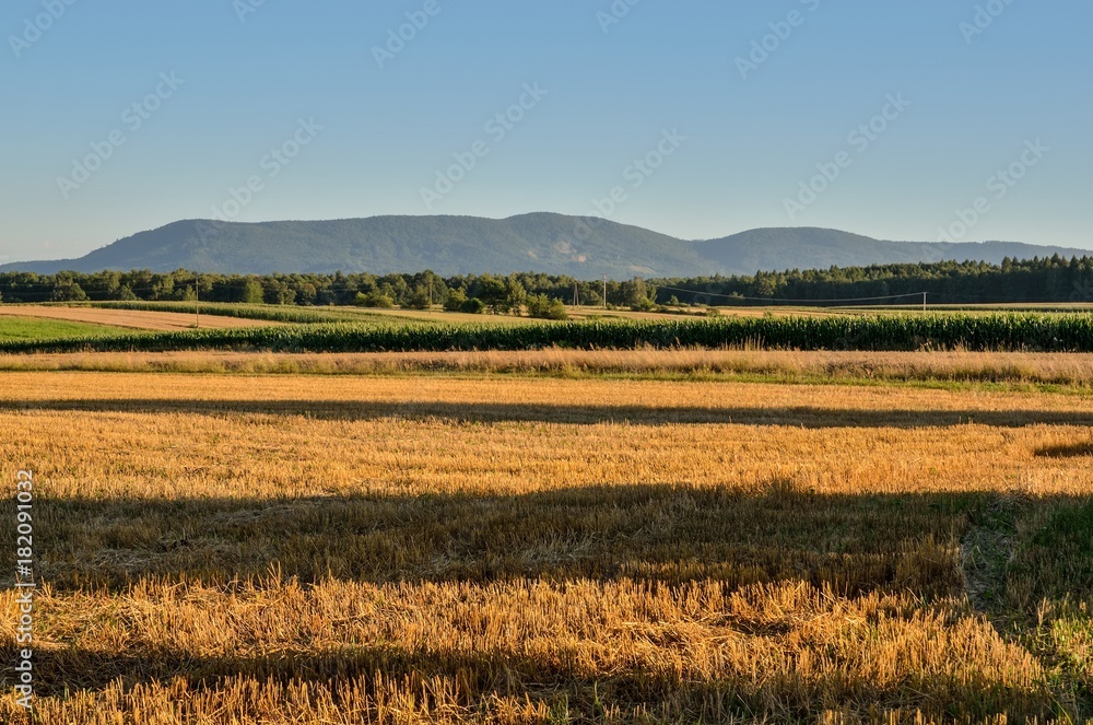 Summer mountain landscape. Cultivated fields and beautiful mountain peaks.