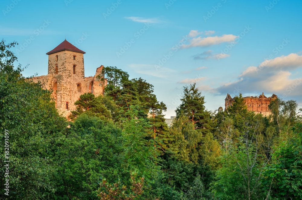 Beautiful historic castle ruins on a green hill. Ruins of Tenczyn Castle in Rudno, Poland.