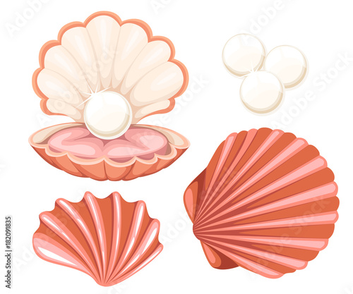 Pink seashell with pearl. Vector illustration isolated on white background.