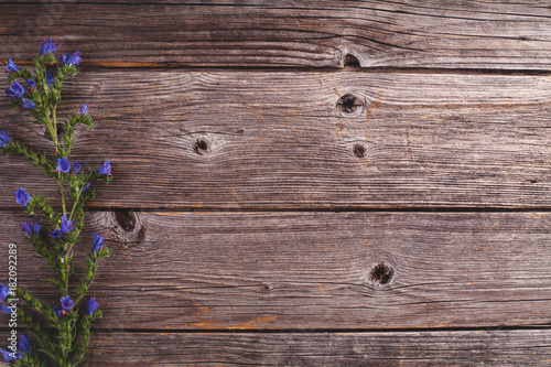Field flowers on the side of rustic  wooden background