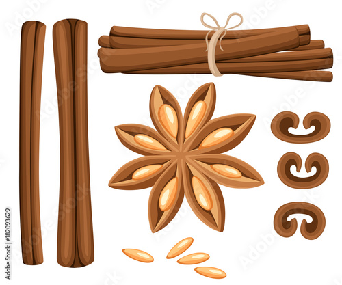 Cinnamon stick, star anise, anise and cardamom vector. Isolated icons on white background