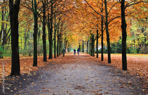Autumn park Tiergarten in Berlin