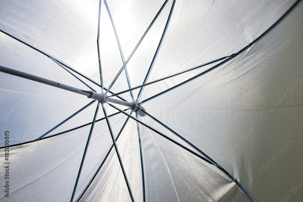 the white umbrella of the photographer from the inside the white umbrella of the photographer from the inside
