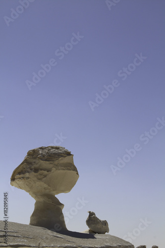 Chicken and the Egg Rock Formations Hoodoos in the White Desert of Egypt. Good Phone Background Wallpaper Image