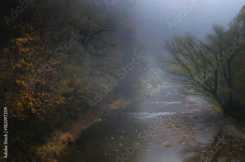 Jesienna rzeka