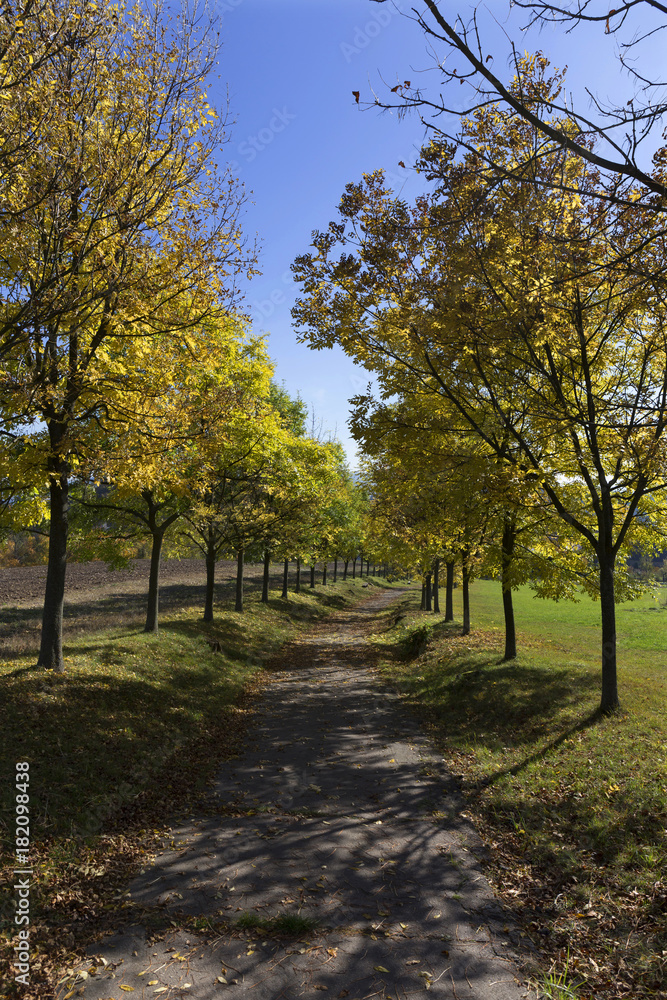 Naklejka premium Colorful autumn country Landscape in central Bohemia, Czech Republic