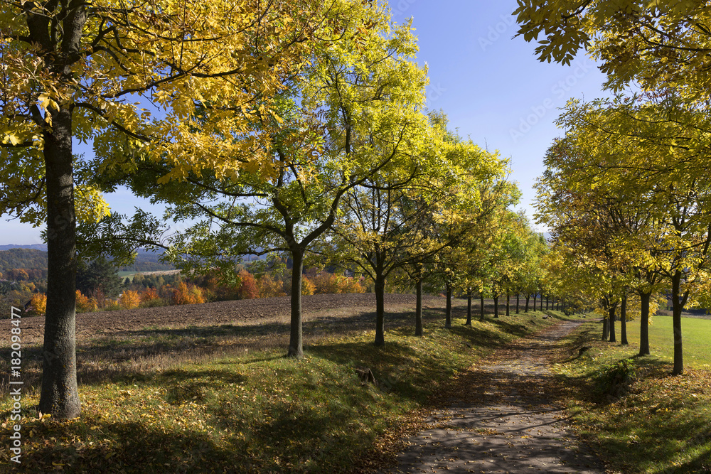 Naklejka premium Colorful autumn country Landscape in central Bohemia, Czech Republic