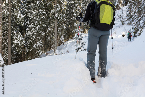 Female hiker walking in a winter forest.