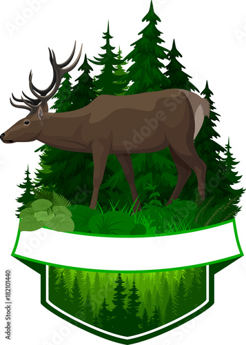 vector woodland emblem with deer