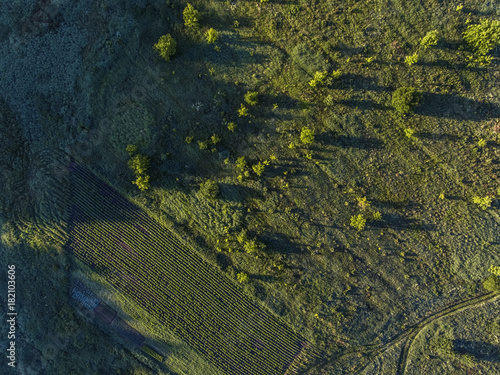 Aerial view over Merkys river valley, near Merkine town, Lithuania. During sunny summer season, surrounded by pine tree forest. photo