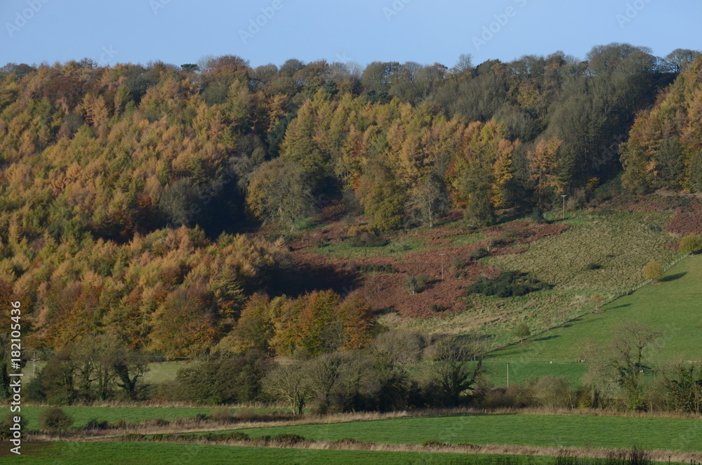 Fototapeta premium Yorkshire autumn