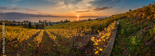 Canvas Print Sunset and panorama over vineyards in Lutry