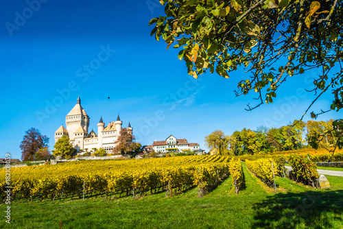 Vufflens castle in Switzerland photo