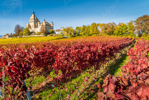 Vufflens castle in Switzerland photo