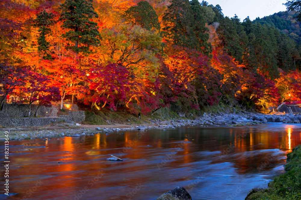 Obraz premium 紅葉美しい香嵐渓・ライトアップ
