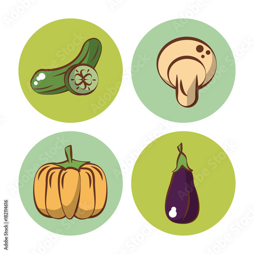 Fototapeta Naklejka Na Ścianę i Meble -  Vegetables icons set