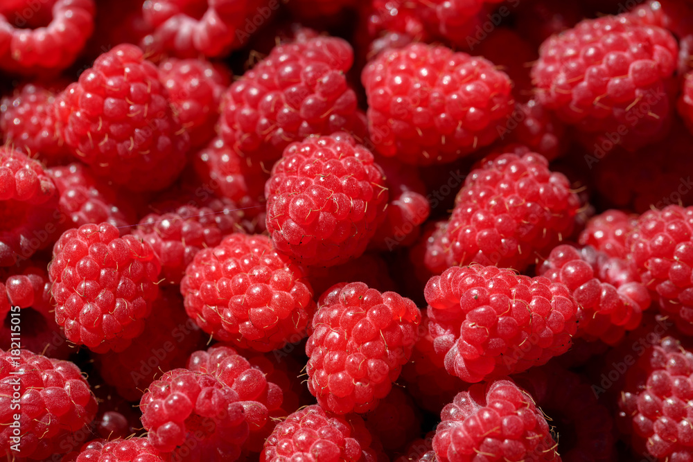 Delicious fresh and sweet red raspberries as food background. Healthy food organic nutrition. Rubus idaeus - natural antioxidant and vitamin fruit agriculture. Delicious fresh and sweet red raspberries as food background. Healthy food organic nutrition. Rubus idaeus - natural antioxidant and vitamin fruit agriculture.