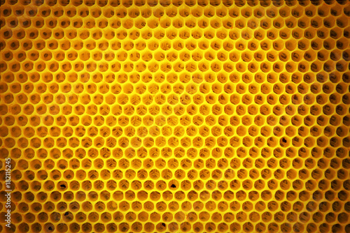 Yellow honeycomb background.