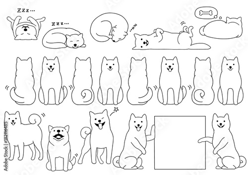 shiba inu elements line drawing 