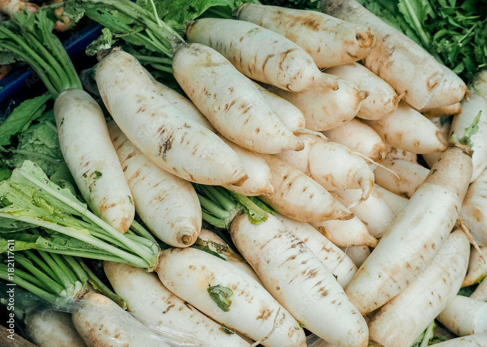 Fresh organic chinese radish or Raphanus sativus Linn sale in urban market. Fresh organic chinese radish or Raphanus sativus Linn sale in urban market.