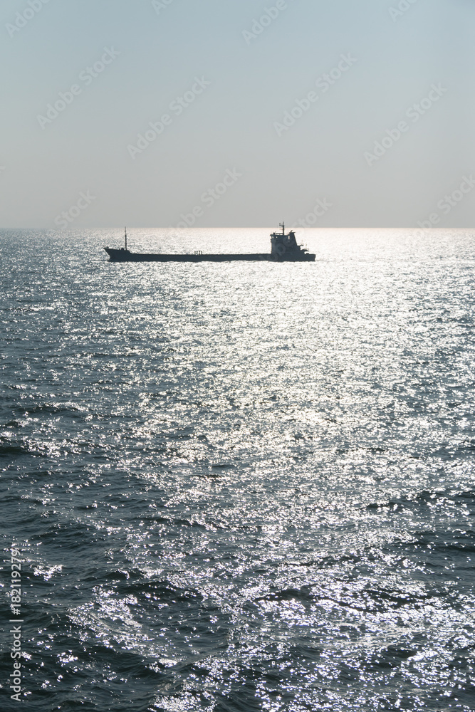 Fototapeta premium The ship sails in the sea