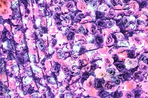 Fototapeta Naklejka Na Ścianę i Meble -  Illuminated Diwali Flowers