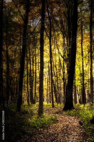 Autumn Trail © Jason Yoder