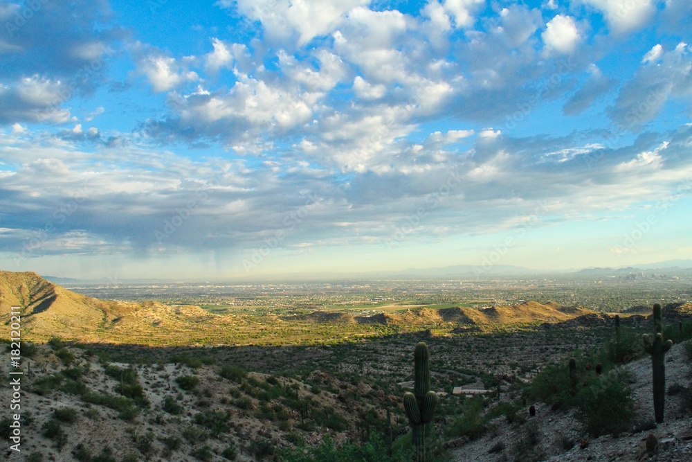 Sonoran Desert Morning