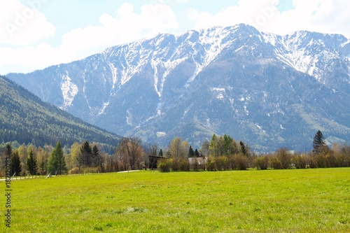 The Alps with a Pasture