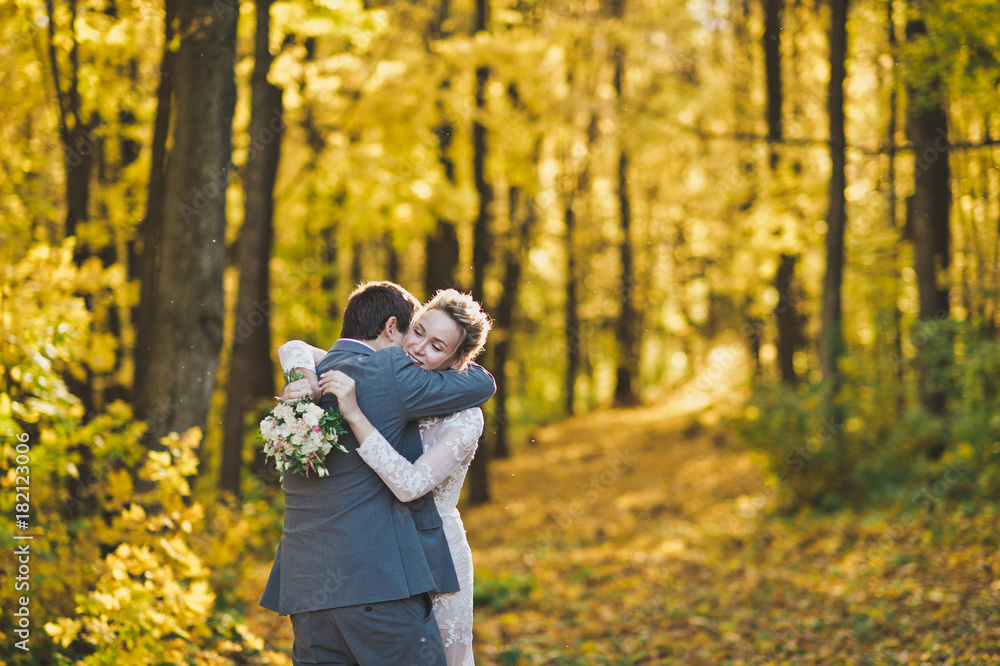 The bride and groom on the background of the brightly lit Golden autumn The bride and groom on the background of the brightly lit Golden autumn